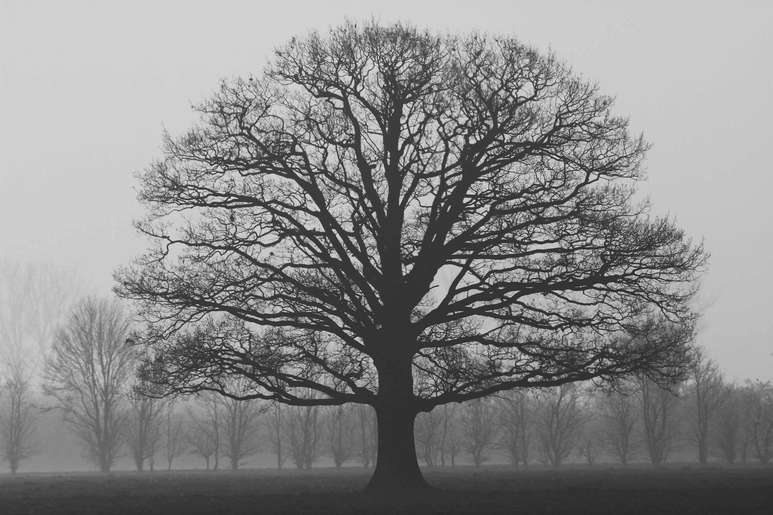 Naming the Quiet Distance Inside Me